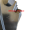 Imagem 5