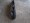 Imagem 4